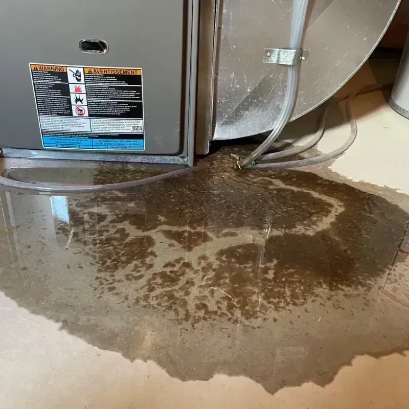 Appliance Leak Cleanup in Romeoville, IL